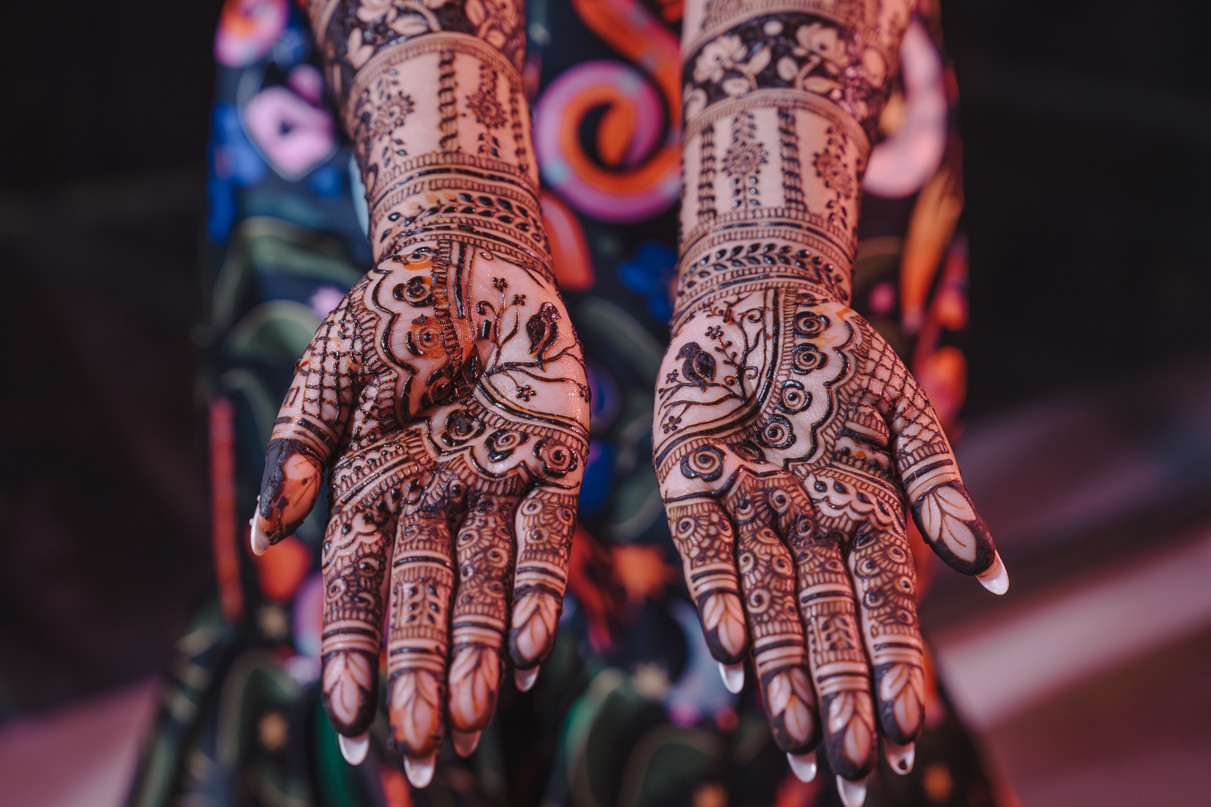 Both hands and forearms displaying intricate bridal mehndi artwork