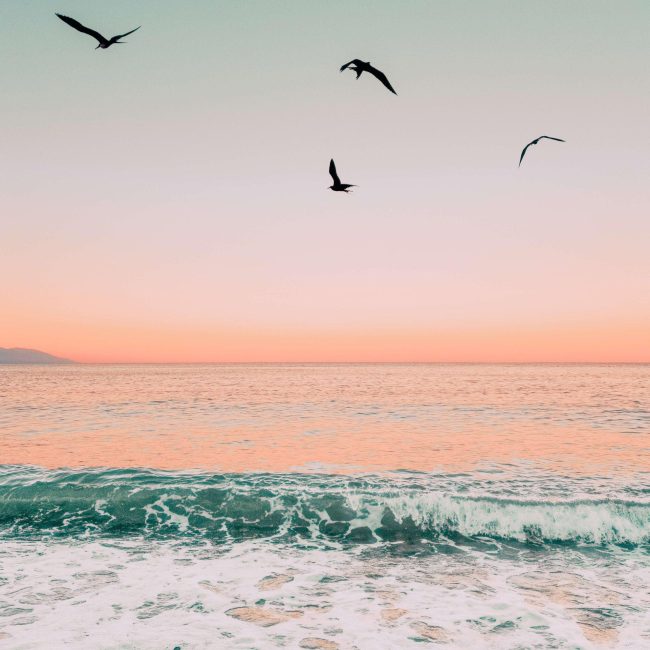 Puerto Vallarta y Riviera Nayarit destino de boda